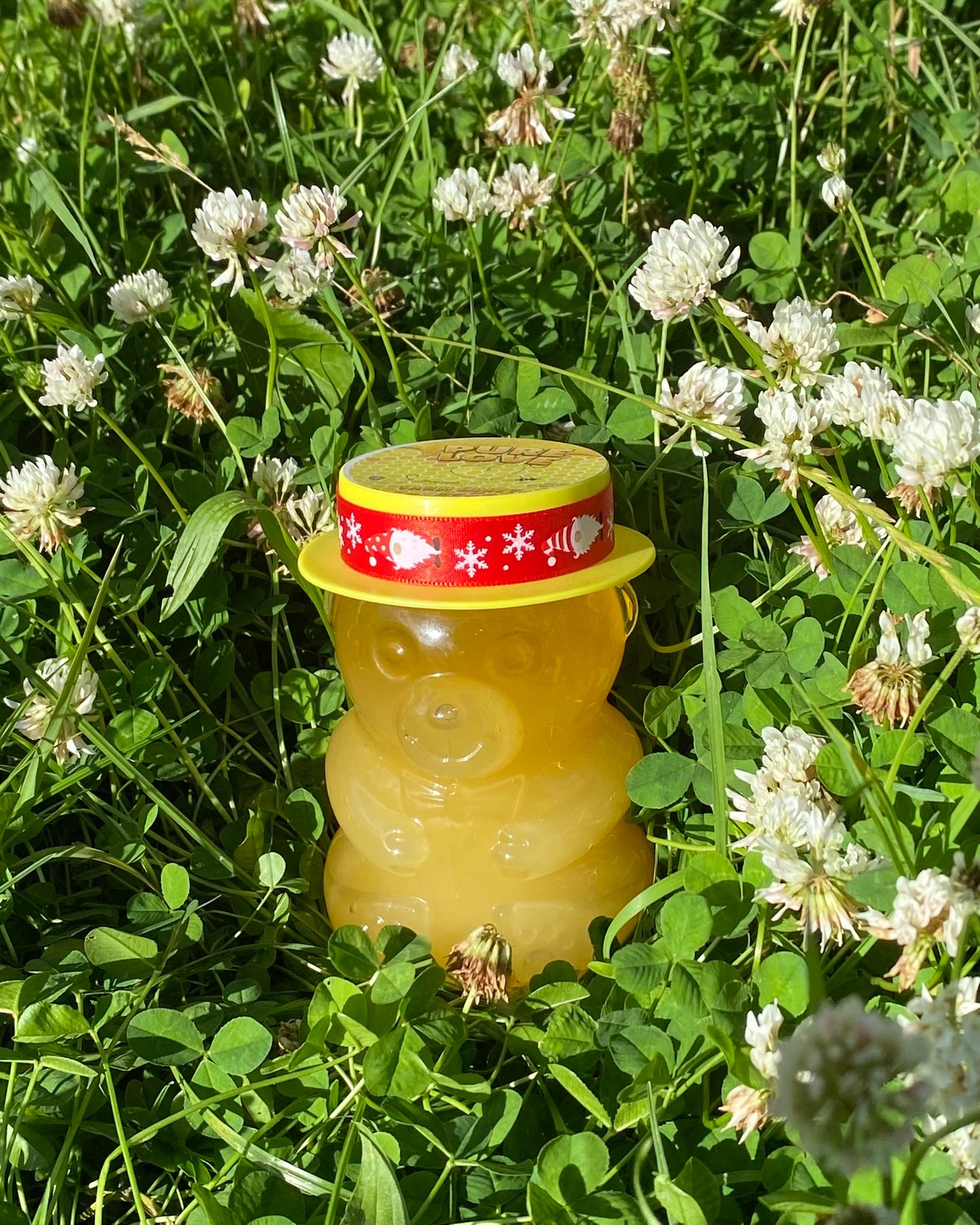 Bear Shaped Honey